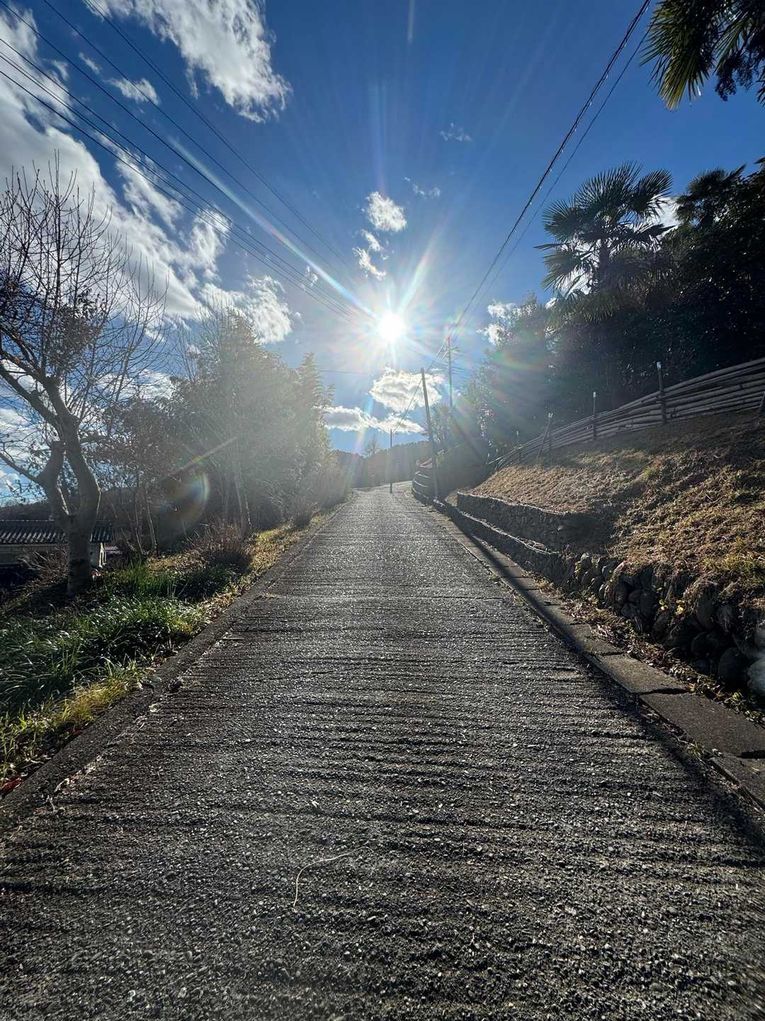 日差しがあたたか☀️