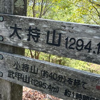 大持山🙌aiに分析させたところ上半身ない被害者ここから2キロくらいのとこで発見されたみたいです🐻