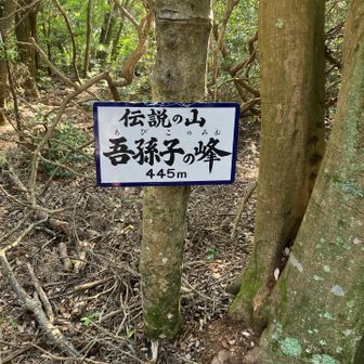 御大層な事で