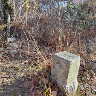 先に少し奥の田中山へ。
三等三角点
◬小篠原292.71ｍ