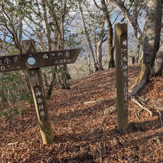 さて、富士山は諦めてダラダラと降ります。