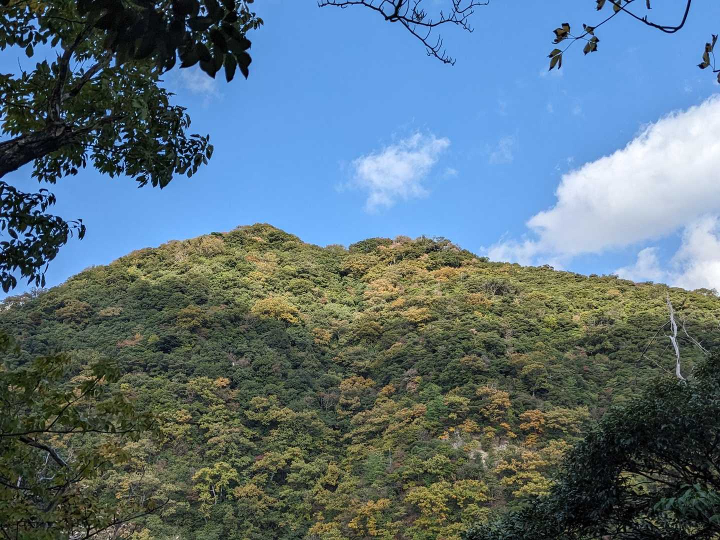 久松山 周回コースの写真