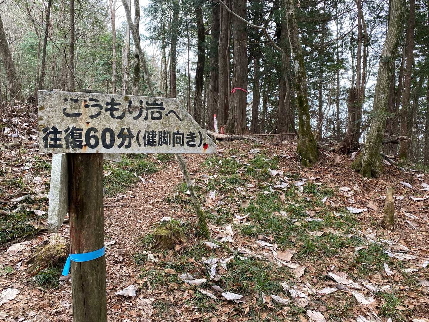 こうもり🦇岩の方から周回して下山しようと思います！
健脚むきって、、🙄🙄
行ってみる💪💪