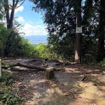多気山頂（377m）。