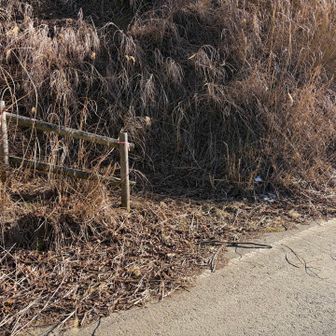 プリンスルートの取付。登って来てのY字路を右です。