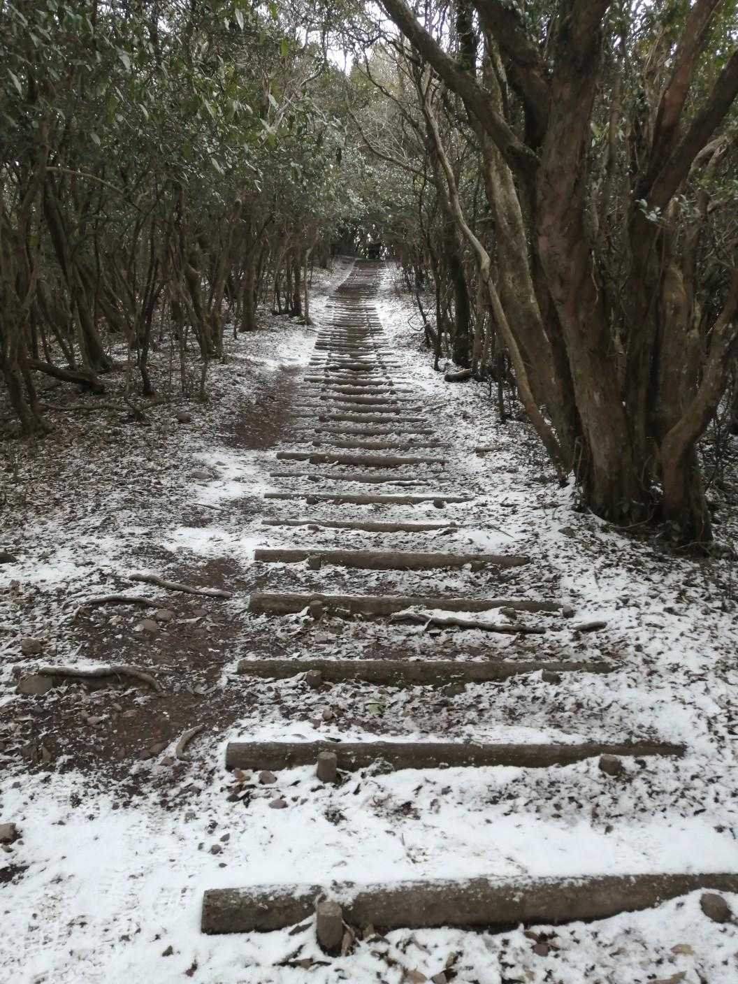 竜王山登山口-竜王山-龍王神社上宮 往復コースの写真