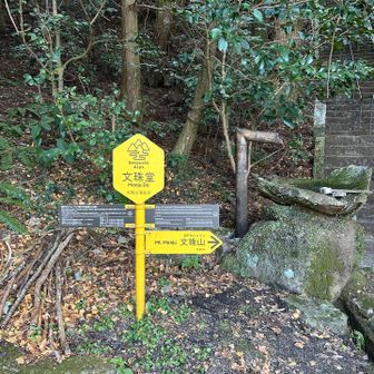 私は右側の階段から行って🪨
左側の道から下山🌿