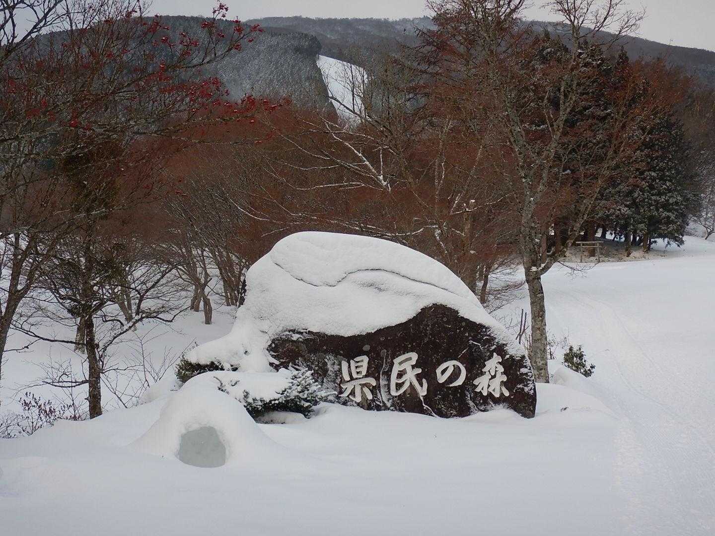 ほとんどの人がスキー場へ⛷️