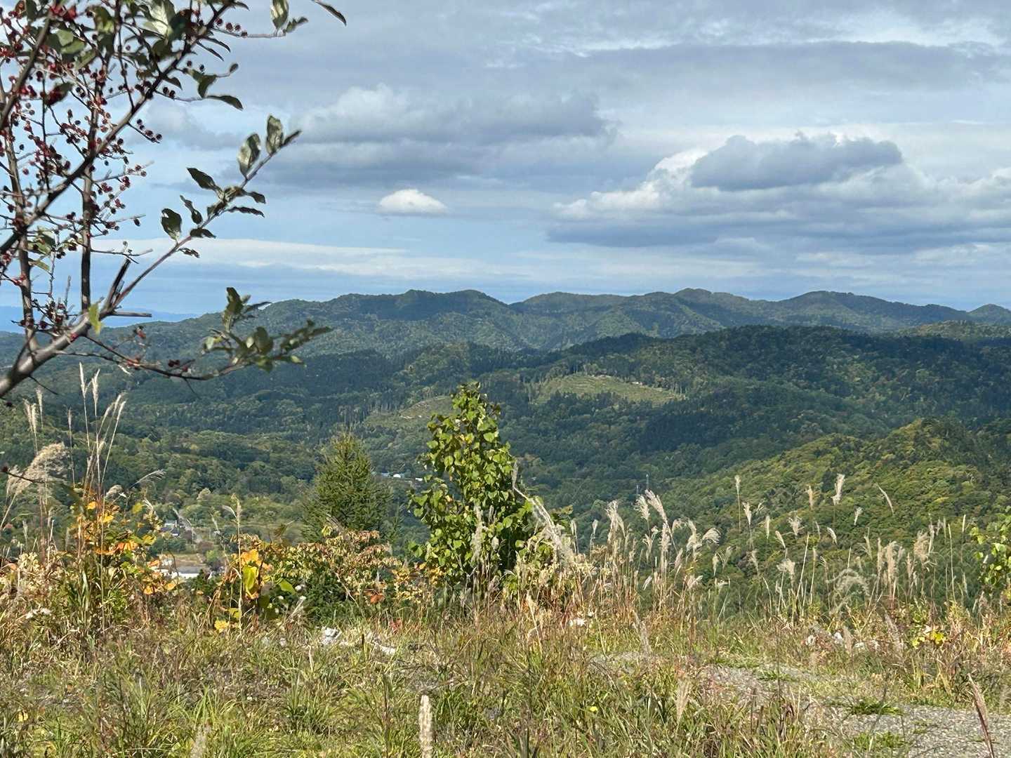 ズリ山 往復コースの写真