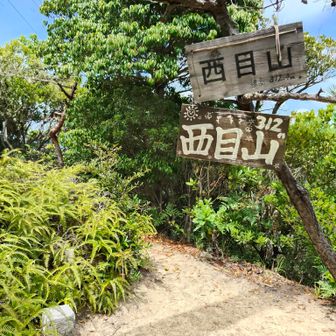 西目山登頂〜🙌 
陽射しが暑いっ🥵