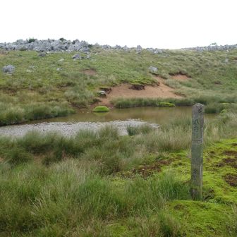 お虎が池