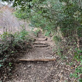 健脚コースでスタート