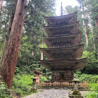 正面(?)からも。この時間帯だと自由に撮り放題だね。