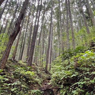 先ずは、準備運動で日本百低山の月居山へ😄