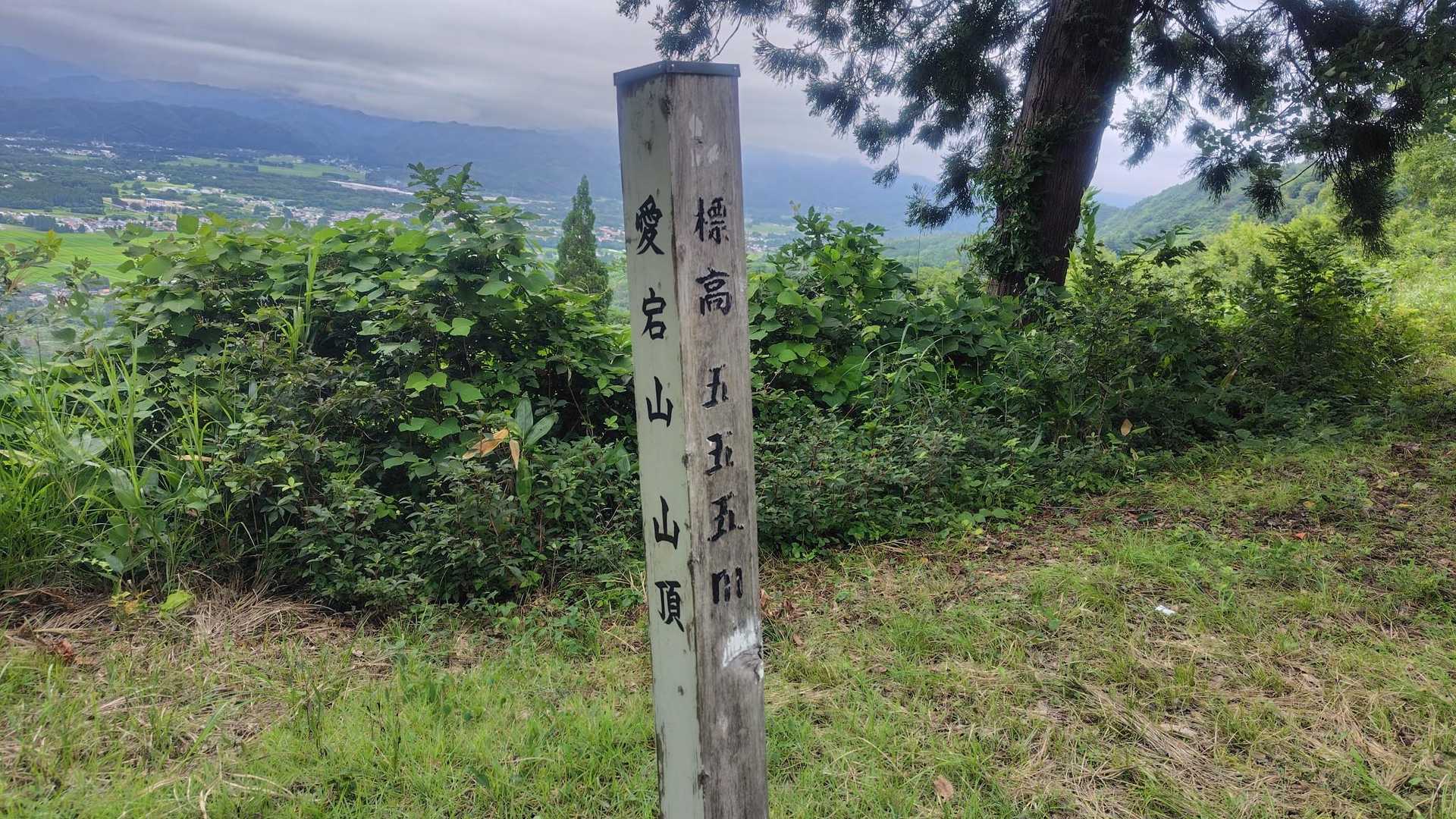 愛宕山もピークGET
