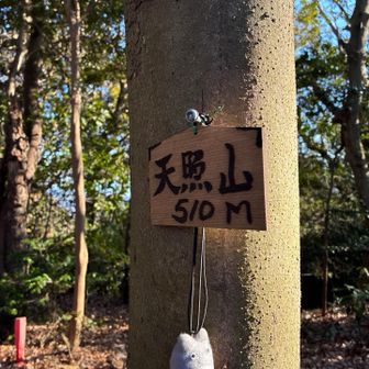 天照山山頂。眺望無し