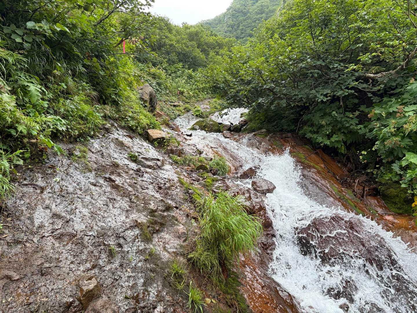 また川登り。無の境地になってきた
