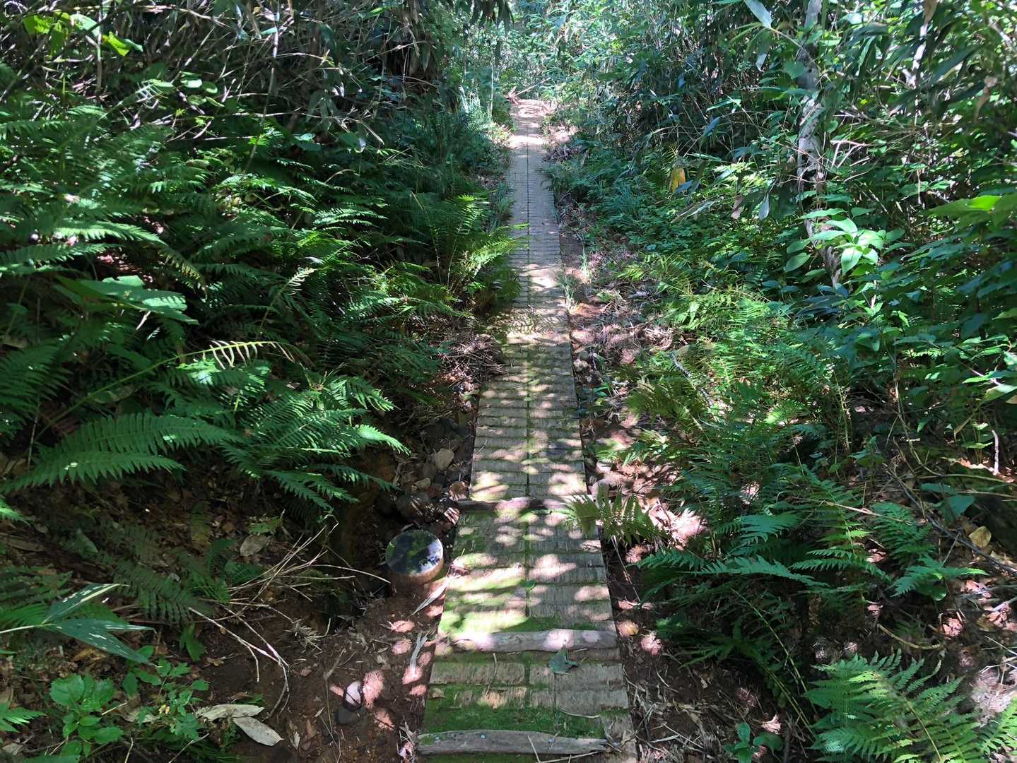 木道も何度か出てきます。