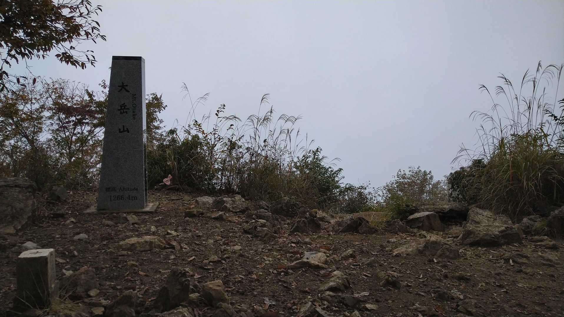 大滝-大岳山 往復コースの写真