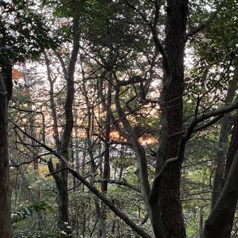 もうすぐ御来光