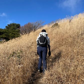 登りは続きます