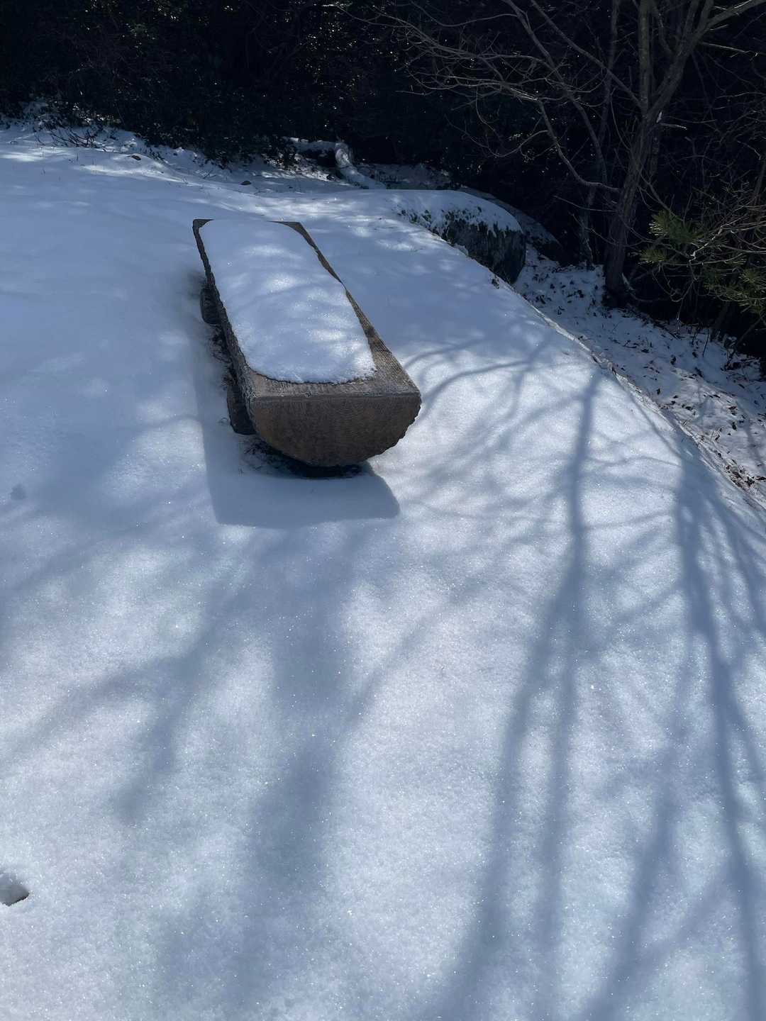 きゃー
真っ白　😍