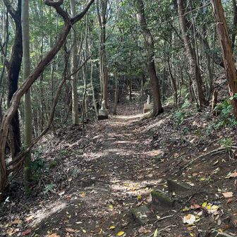 三重塔を過ぎたら山道になった。
が、ここもランニングシューズでも支障なく歩けるレベル👟✨