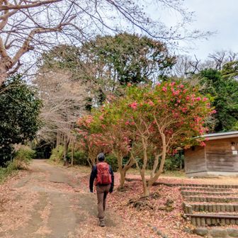 途中トイレあり