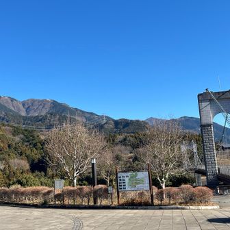 でもせっかくここまで歩いてきたので、最後に左手に聳える三ノ塔に挑みます💪