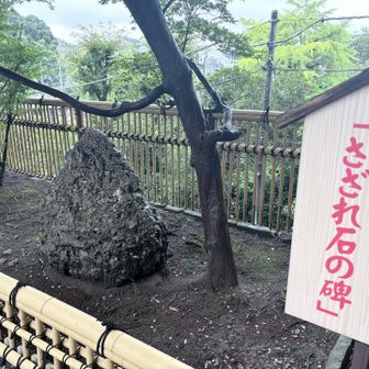 神社の境内にはさざれ石
