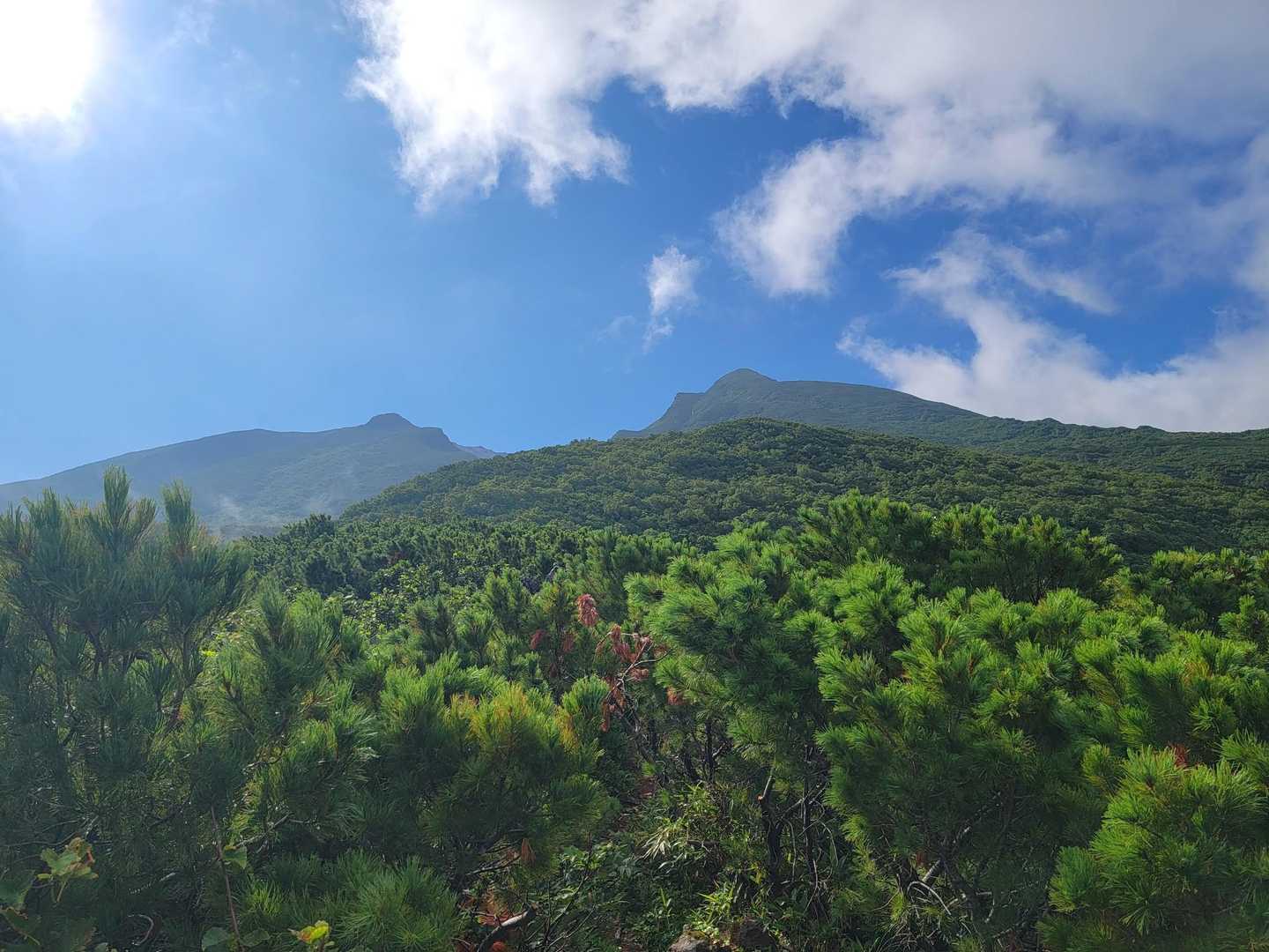 晴れた🌞👍👍