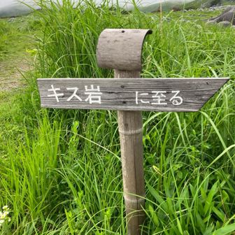 一応確認しましょう
