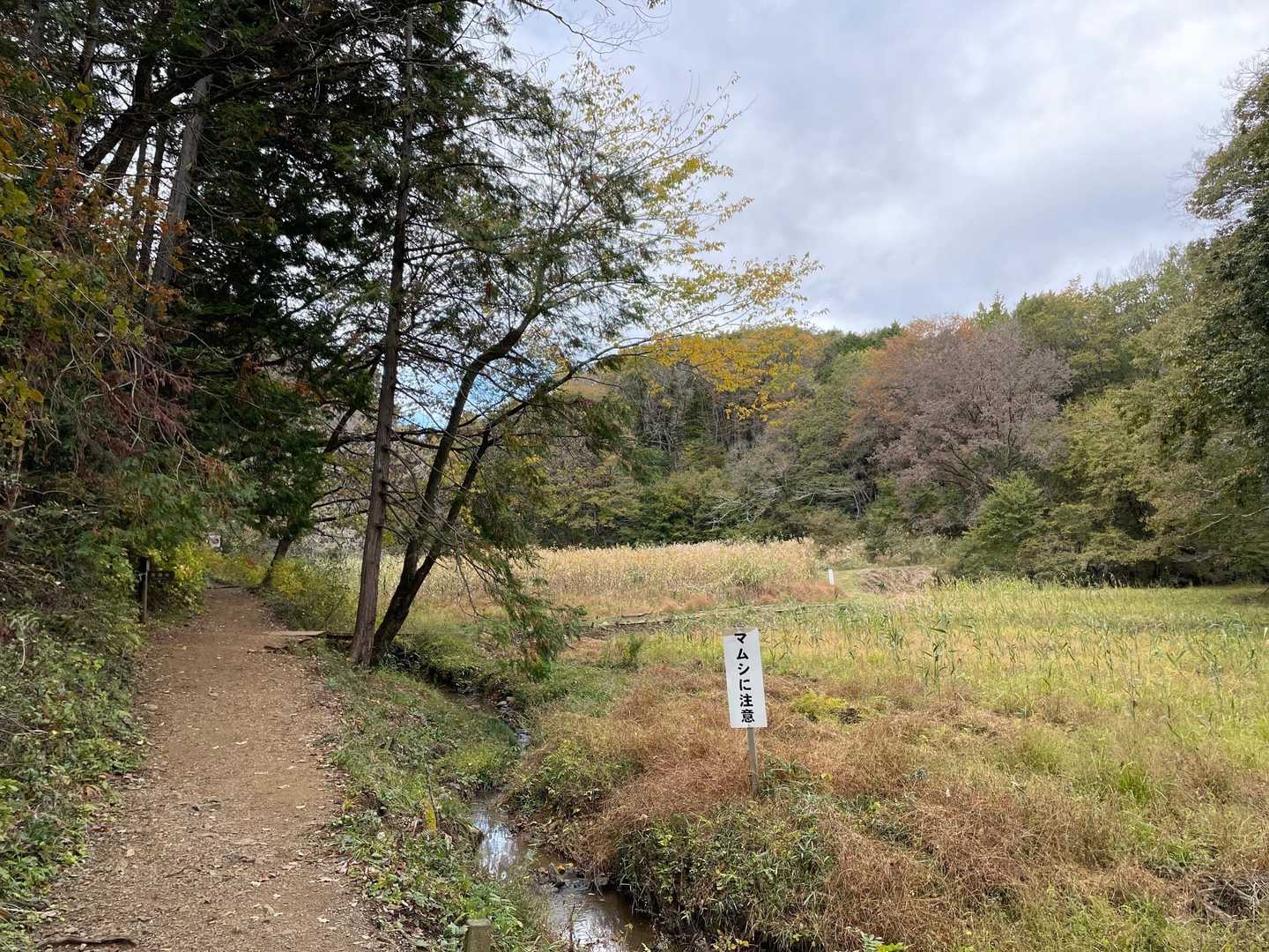 急ぎ足で進みます〜