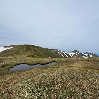 巻機山〜割引岳