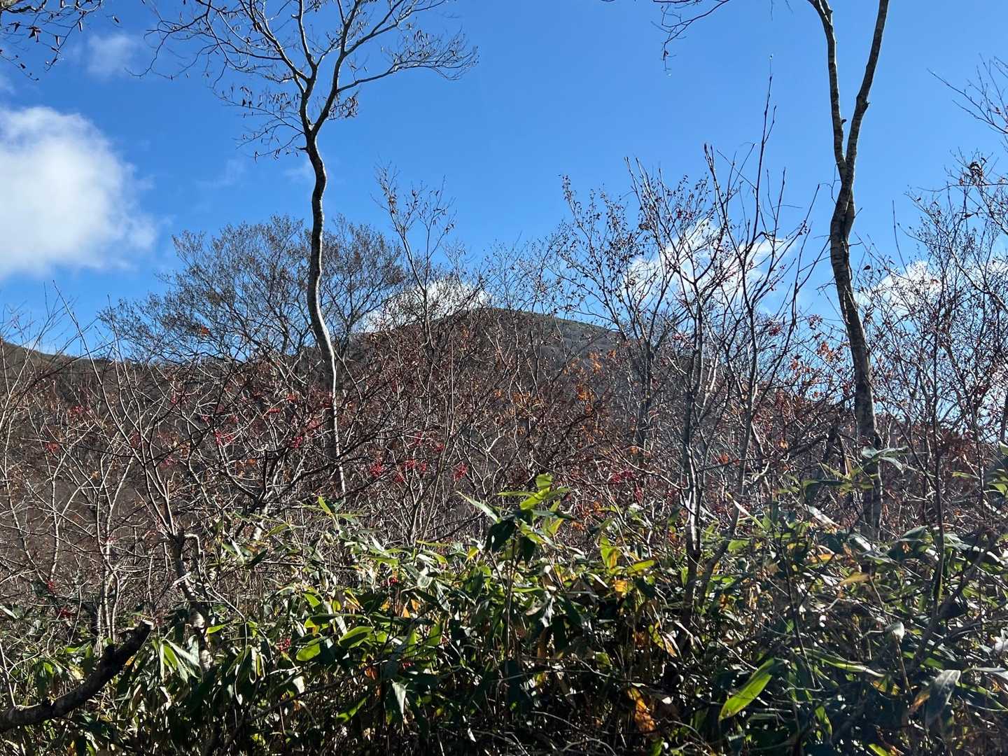 葉山