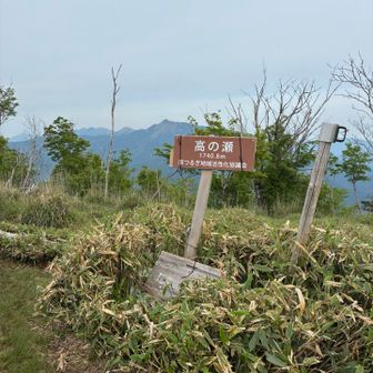 3座目高の瀬