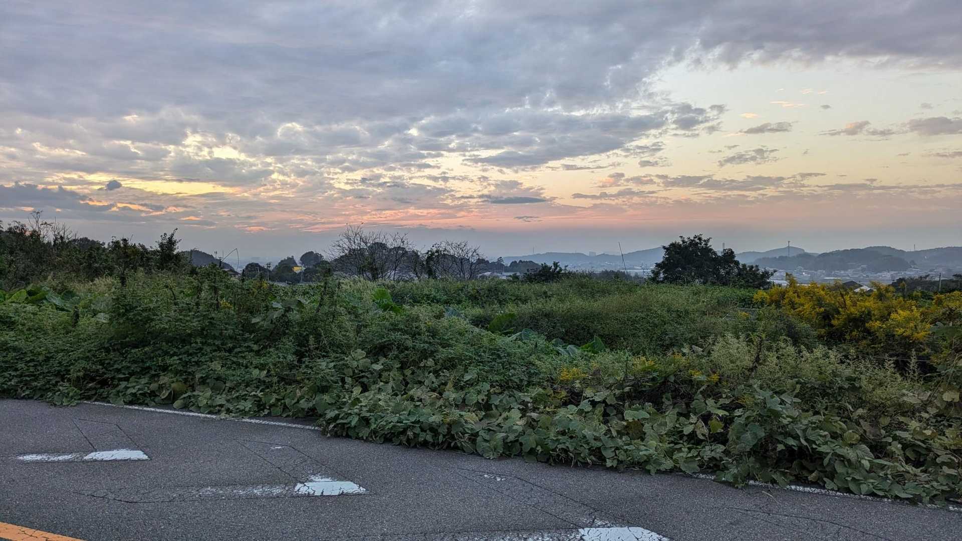 駐車場に戻る車道からの夕焼けが一番綺麗でした