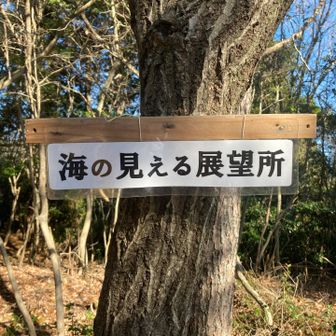 海の見える展望台でまったり☕️