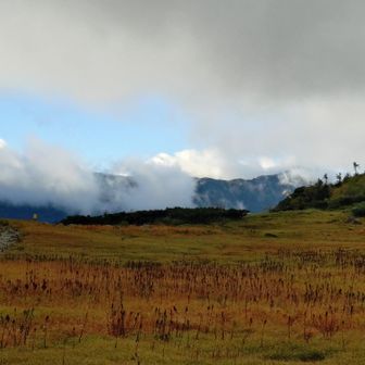 少し晴れ間が見えました。東海百山ラストの双六岳へ向かって出発します