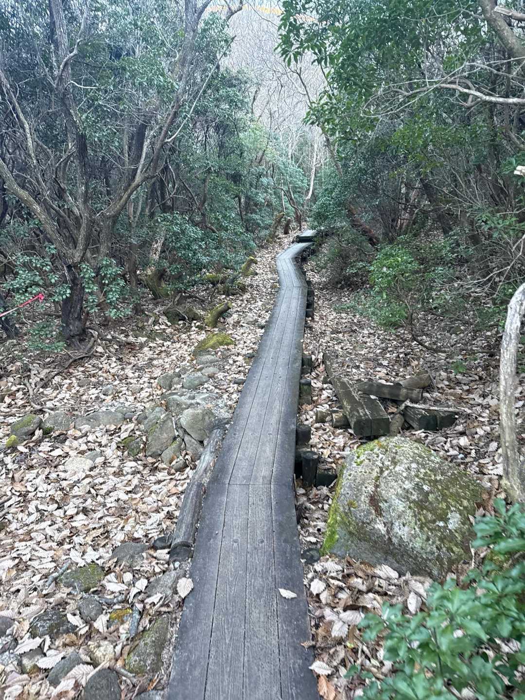 鉾立峠-立中山 往復コースの写真