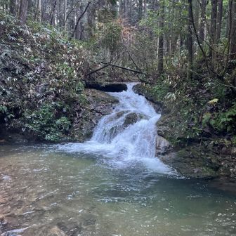 昨夜までの雨で水は豊富です。まだ木の上から水滴が落ちてきます。
