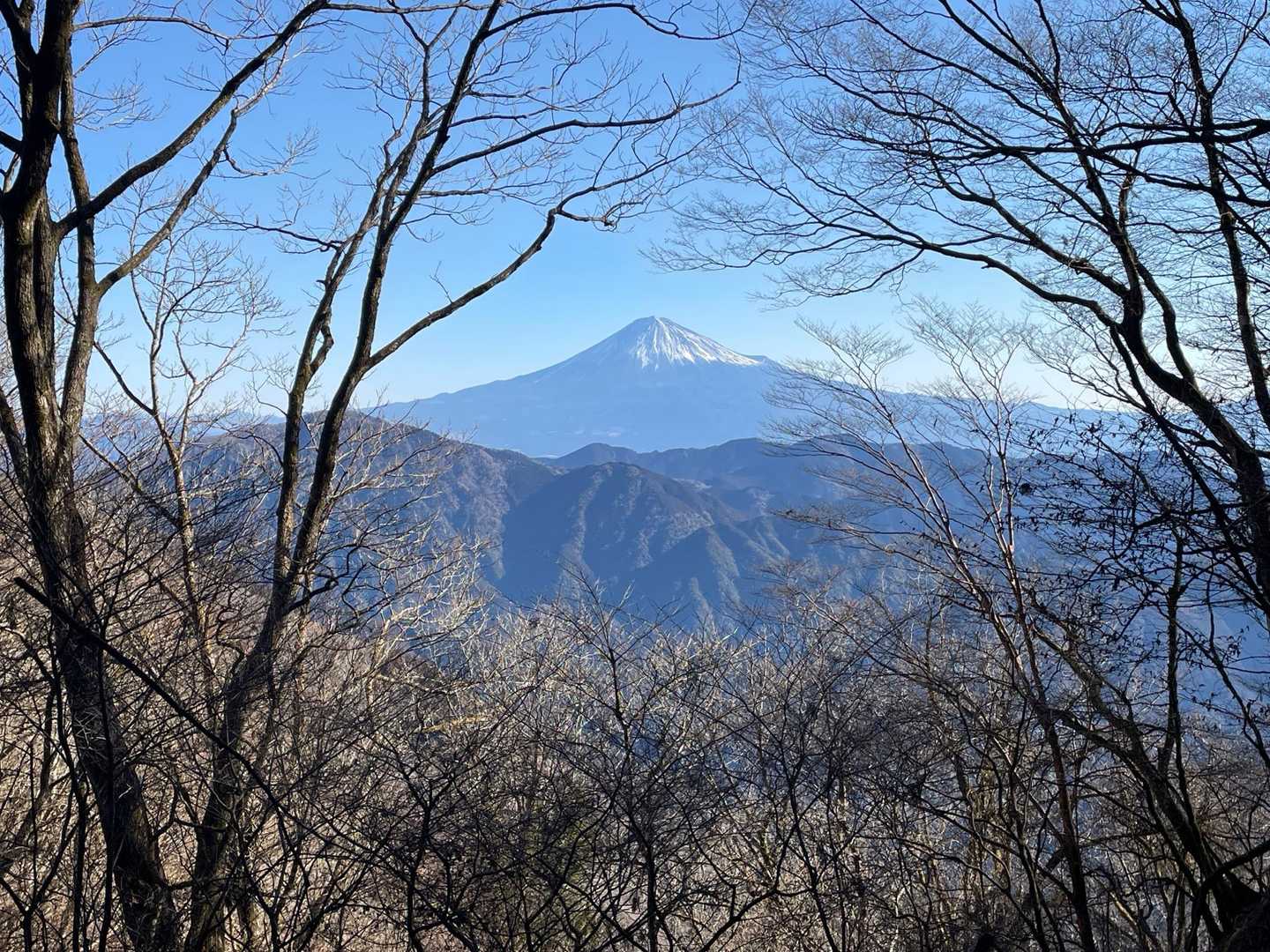 おはようございます。