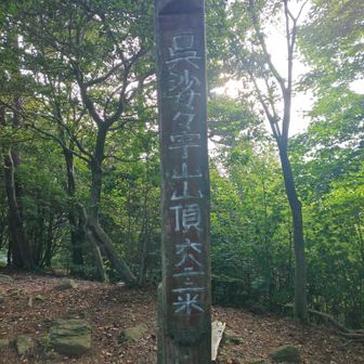 そして呉娑々宇山14回目登頂▲
週末実家お手伝いに行くので、月内もう一回登りますよ🤠さて進捗を確認👀