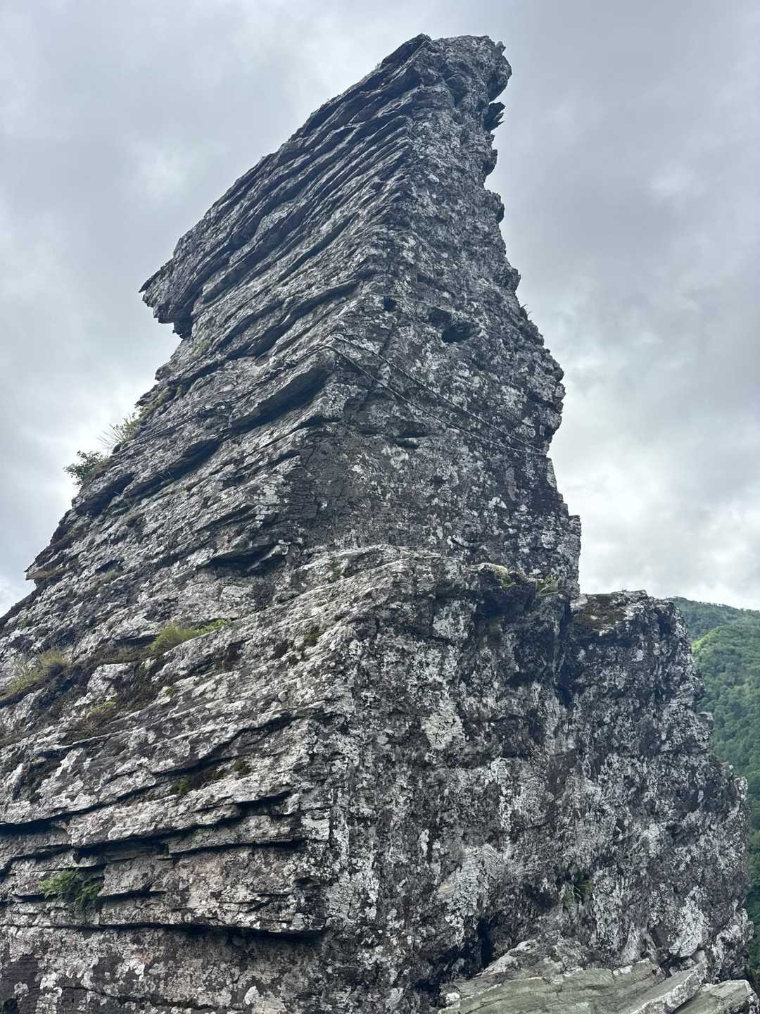 落合峠-矢筈山-石堂山 往復コースの写真