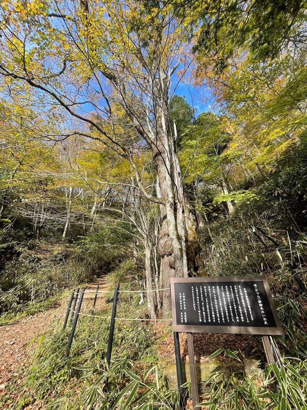 石割山 | 割れた巨岩を御神体とするパワースポットから、間近に富士山を望む稜線への写真
