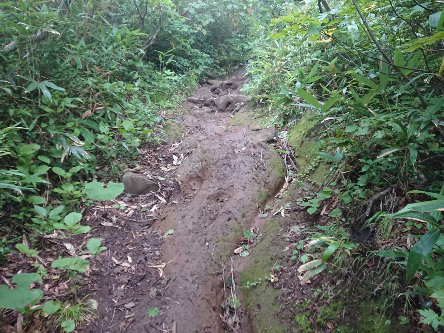 カケスガ峰から泥道が続くのでスベらぬよう慎重に…⚠️
