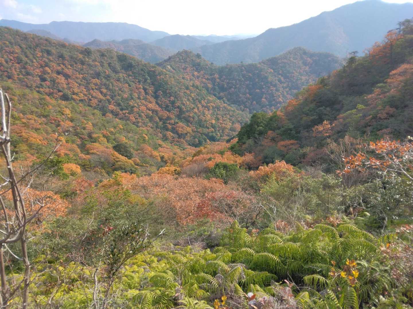 秋の山でした。