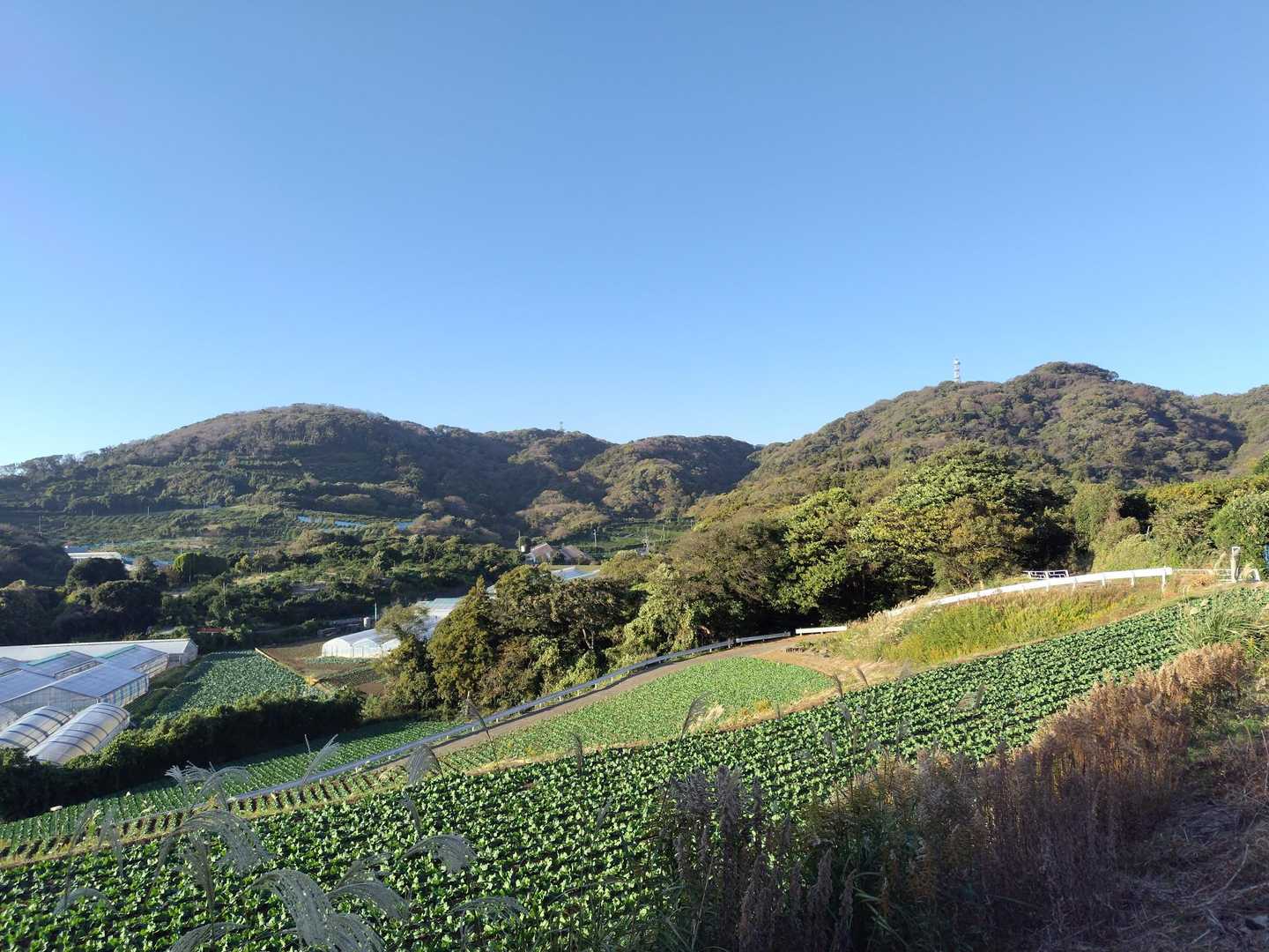 武山と砲台山