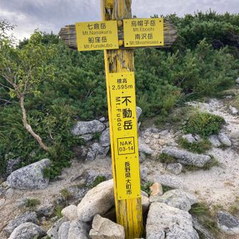 なんとか登頂〜！