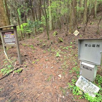 おつかれ山でした